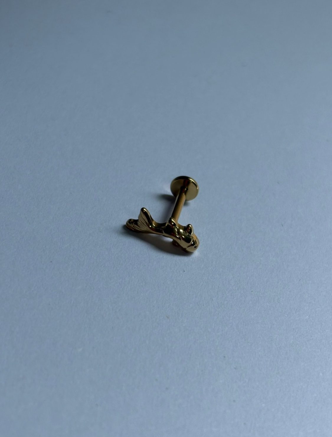 Piercing Paz