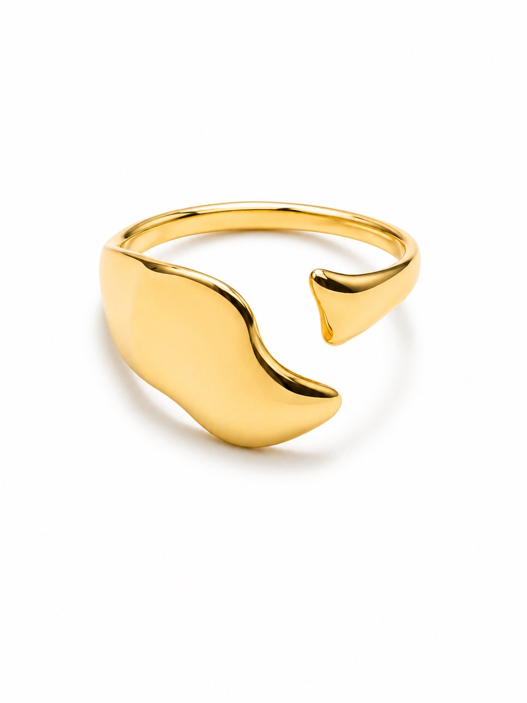 ANILLO DUNA